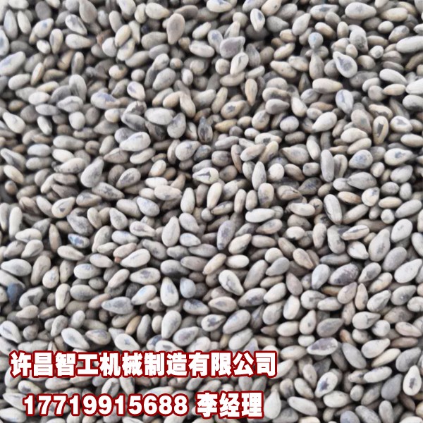 自动<strong>炒货</strong>机.jpg 自动炒货机.jpg