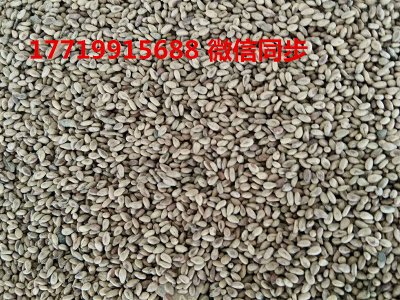 炒货机.017719915688.jpg 炒货机.017719915688.jpg