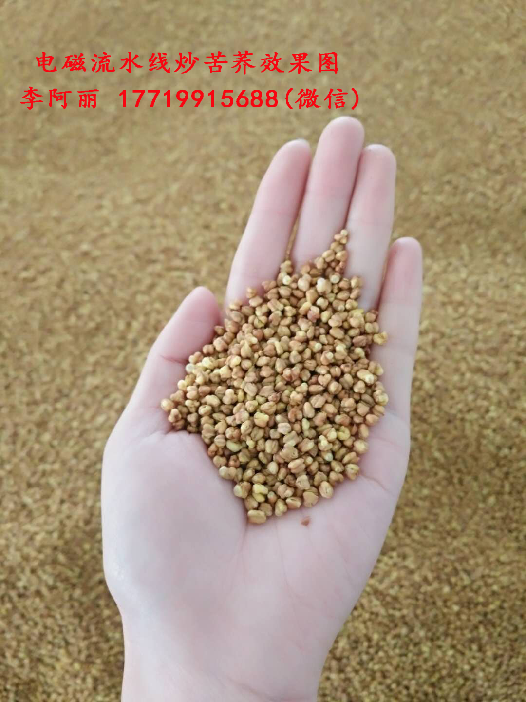炒苦荞效果图17719915688.jpg 炒苦荞效果图17719915688.jpg