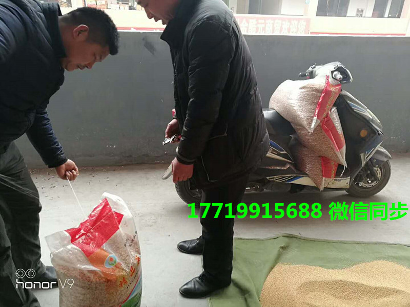 炒货机17719915688 (2)_副本.jpg 炒货机17719915688 (2)_副本.jpg