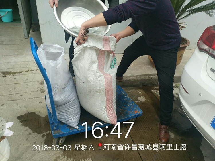自动炒货机.jpg 自动炒货机.jpg