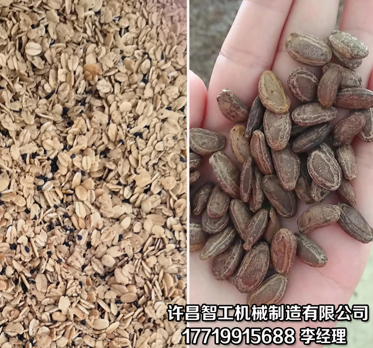 多功能炒货机.jpg 多功能炒货机.jpg
