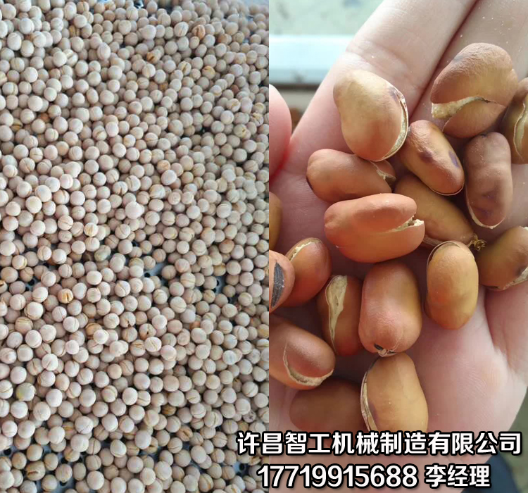 炒货机.jpg 炒货机.jpg