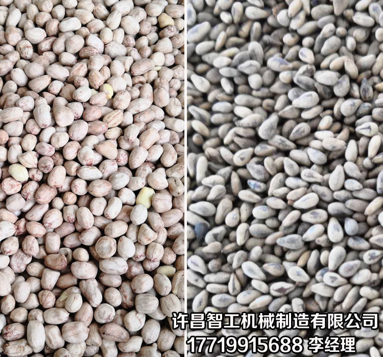炒瓜子机.jpg 炒瓜子机.jpg