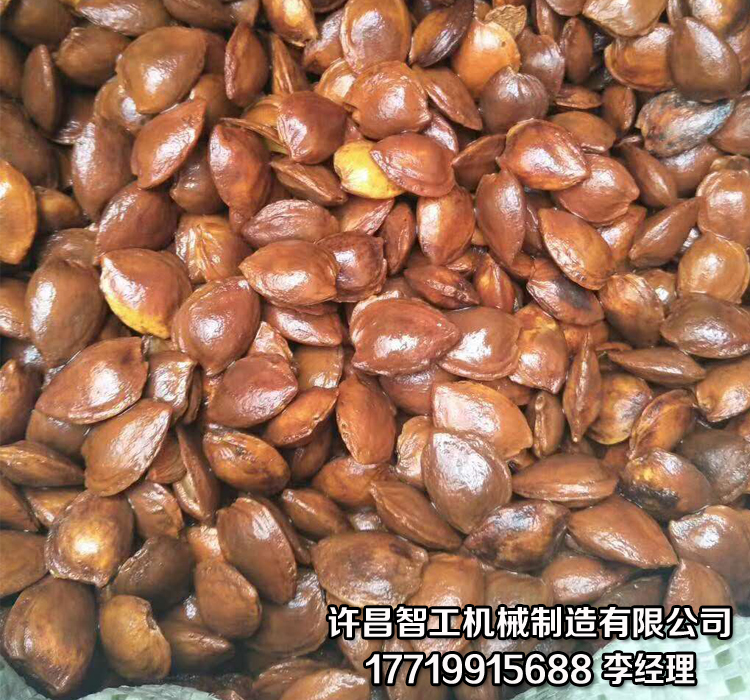 电磁炒货机.jpg 电磁炒货机.jpg