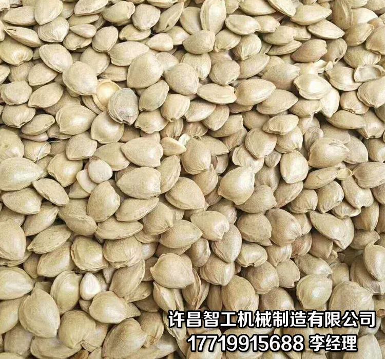 干果炒货机.jpg 干果炒货机.jpg