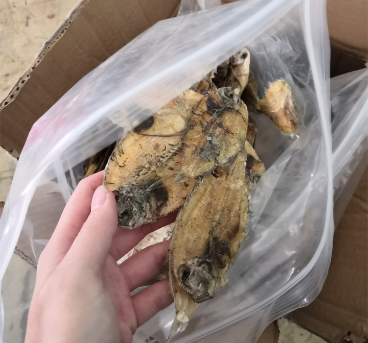 电磁炒货机.jpg 电磁炒货机.jpg