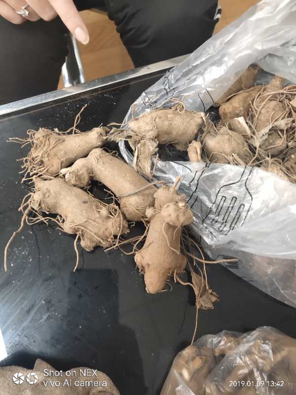 炒药机.jpg 炒药机.jpg