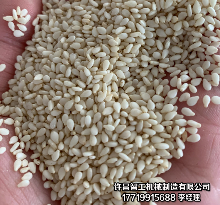 炒芝麻机.jpg 炒芝麻机.jpg