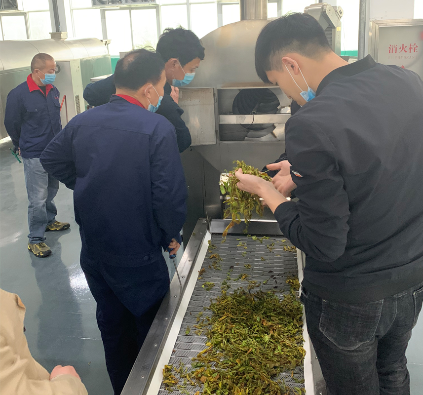 炒茶机.jpg 炒茶机.jpg