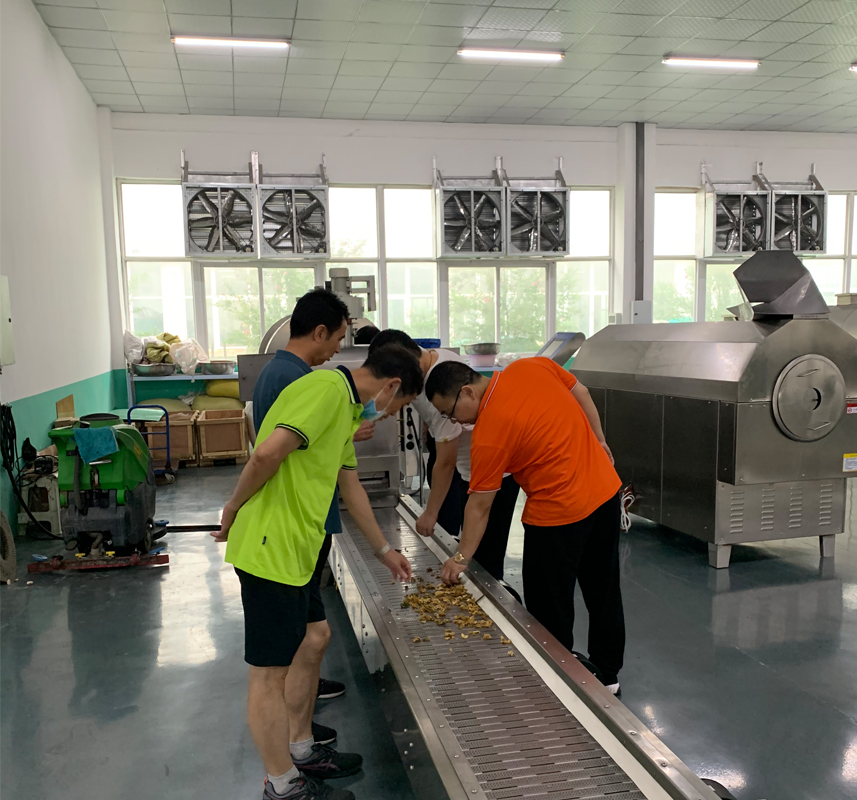 欢迎河北客户来厂现场用许昌智工两米全自动电磁流水线炒货机炒制鸡内金