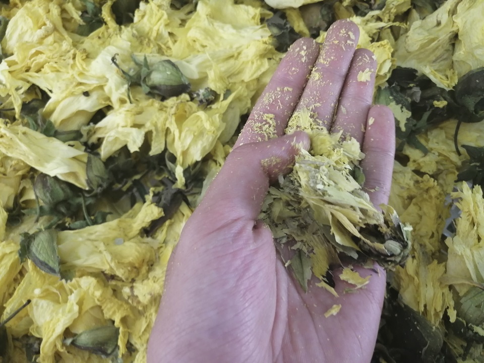 花茶烘干设备.jpg 花茶烘干设备.jpg