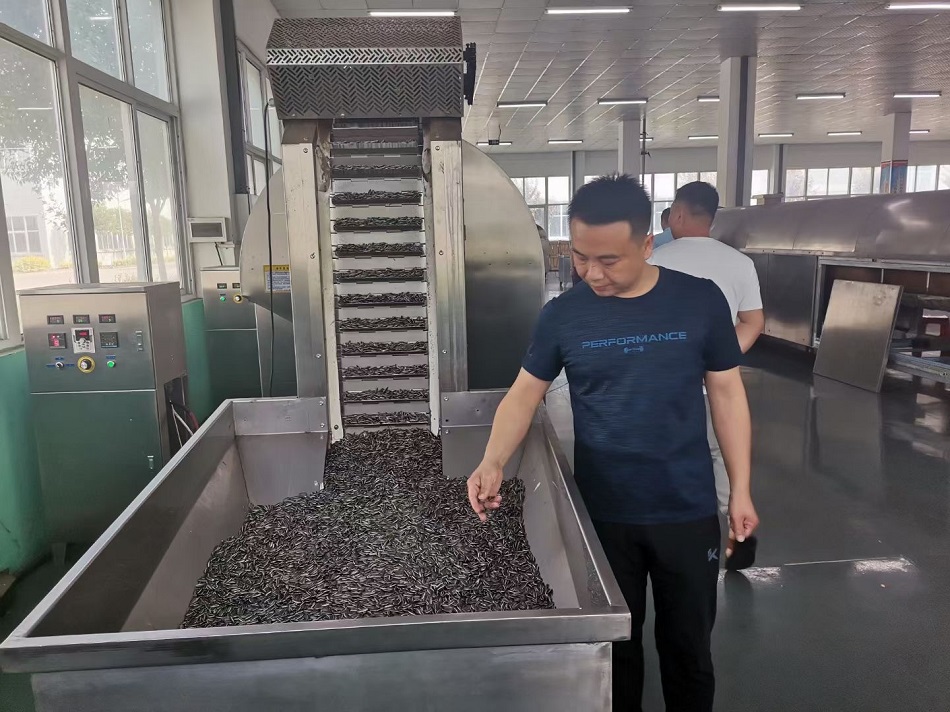 流水线炒货机.jpg 流水线炒货机.jpg