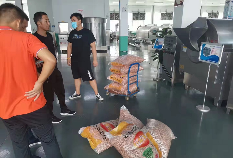 河南客户自带原料来厂考察试机许昌智工炒花生米设备