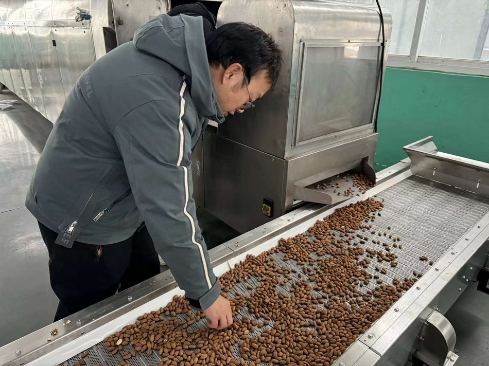 炒货机.jpg 炒货机.jpg
