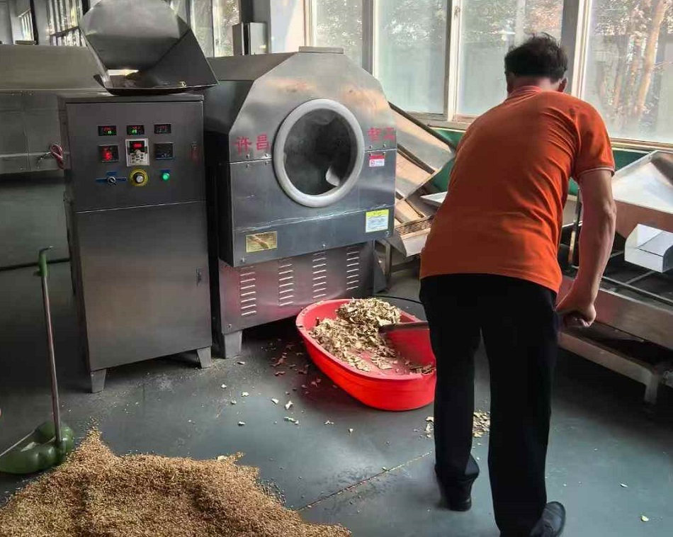 河南郑州客户来厂试机中型电磁炒货机炒制中药材