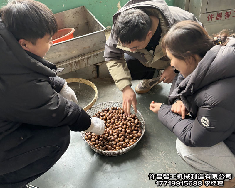 炒货机.jpg